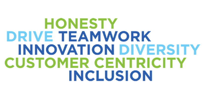 Word cloud including honesty, drive, teamwork, innovation, diversity, customer centricity, and inclusion, in Pillar Biosciences green, light blue, and darker blue