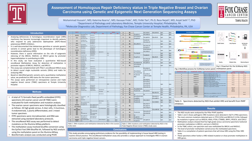 Assessment of Homologous Repair Deficiency status in Triple Negative Breast and Ovarian Carcinoma using Genetic and Epigenetic Next Generation Sequencing Assays